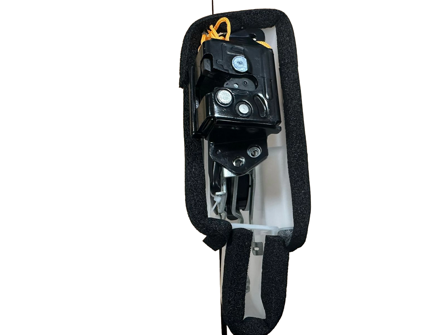 Chapa de Portalon TOYOTA 4Runner 4a Generacion 2003 - 2009
